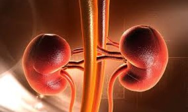 Dore  bimwe  mu bintu  byangiza impyiko ukwiye kwirinda