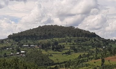 Muyira-Nyamure:Isasu ryarashwe na Biguma ryabaye imbarutso y'iyicwa ry'Abatutsi basaga ibihumbi icumi