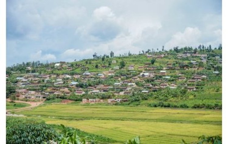 isagara: Bane barimo na Gitifu w’Umurenge batawe muri yombi kubera ruswa